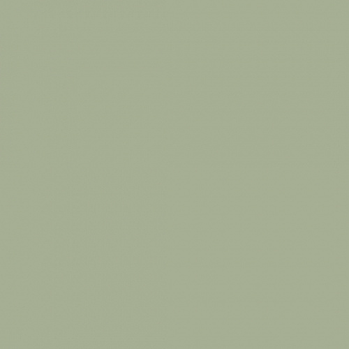 ЛДСП EXTRAVERT Зелёный буковый 16x2070x2800